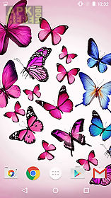 butterfly by fun  live wallpaper