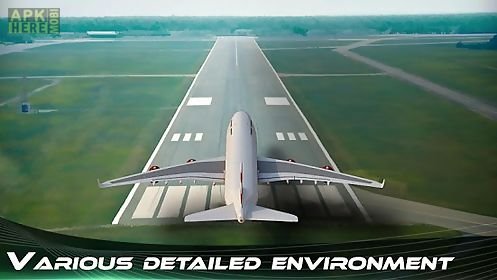 airplane flight simulation