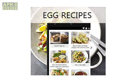 egg recipes breakfast food