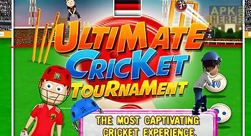 Ultimate cricket tournament