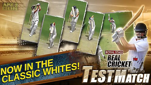 real cricket™ test match