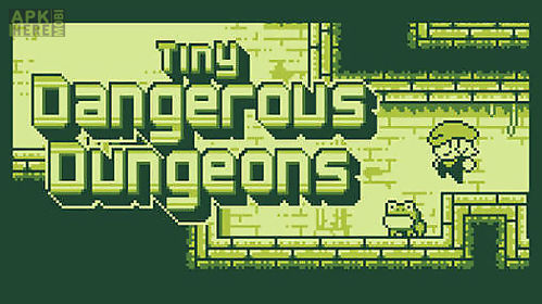 tiny dangerous dungeons