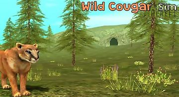 Wild cougar sim 3d