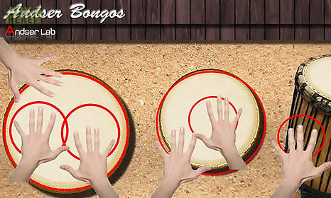 andser bongos