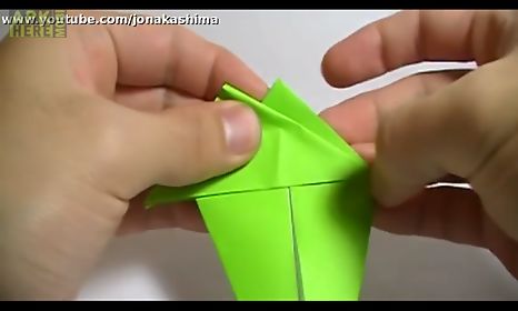 origami master (paper folding)