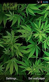 marijuana 3d  hd live wallpaper