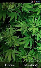 marijuana 3d  hd live wallpaper