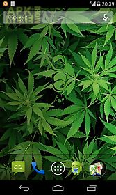 marijuana 3d  hd live wallpaper