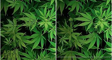 Marijuana 3d  hd Live Wallpaper