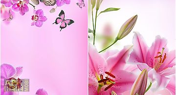 Pink flowers  Live Wallpaper