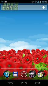 red poppies 3d  live wallpaper