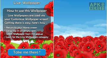 Red poppies 3d  Live Wallpaper