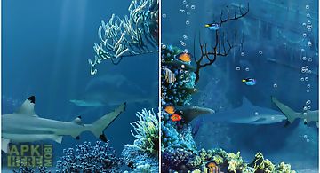 Shark reef  free Live Wallpaper