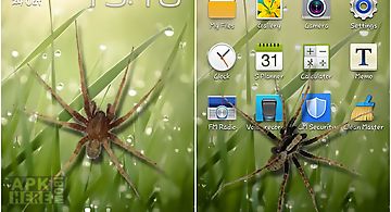 Spider in phone Live Wallpaper