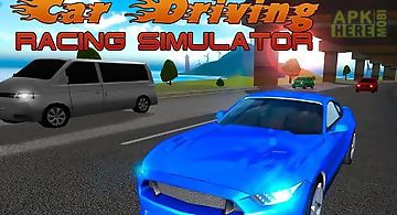 Car driving: racing simulator
