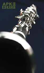 real clarinet