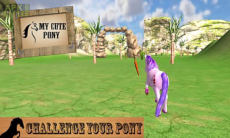 my cute pony horse simulator