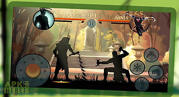 Ninja shadow fight 3