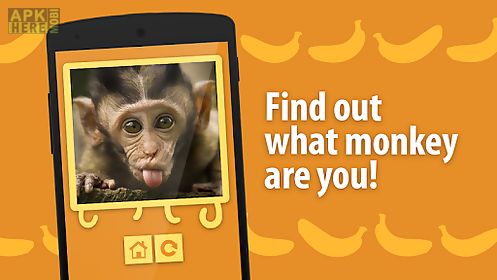 face scanner: what monkey