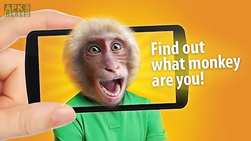 face scanner: what monkey
