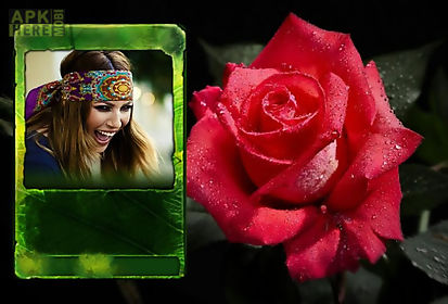 rose photo frames