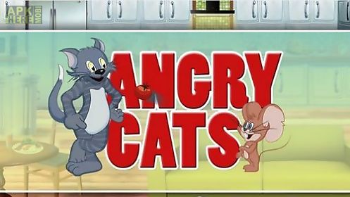 angry cats. cats vs mice