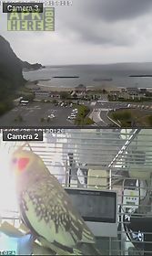 viewer for icam ip cameras