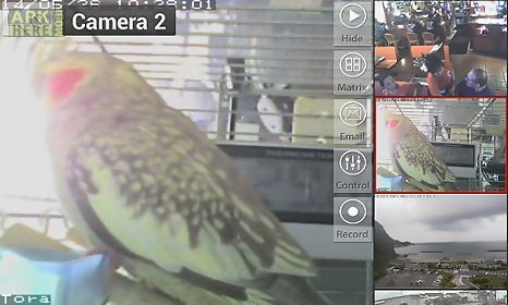 viewer for icam ip cameras