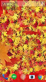 autumn leaves 3d lwp live wallpaper
