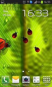 friendly bugs live wallpaper