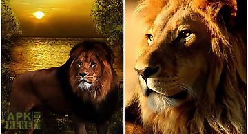Lions  Live Wallpaper