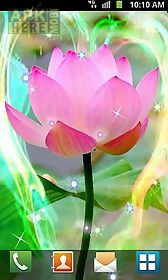 lotus by venkateshwara apps live wallpaper