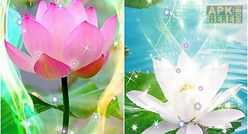 Lotus by venkateshwara apps Live..