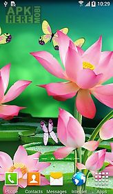 lotus live wallpaper
