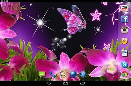 magic butterflies live wallpaper
