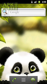 panda chub  free live wallpaper
