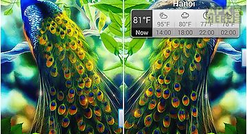 Peacock Live Wallpaper