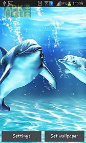 sea dolphin live wallpaper