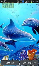 sea dolphin live wallpaper