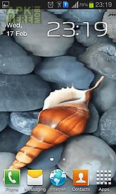 seashell by memory lane live wallpaper