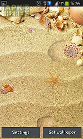 seashell live wallpaper