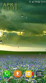 spring rain by locos apps live wallpaper