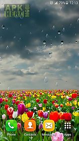 spring rain by locos apps live wallpaper
