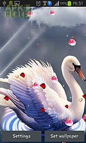 swans: love live wallpaper