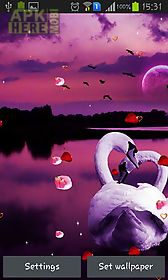 swans: love live wallpaper
