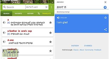 Amharic dictionary - translate