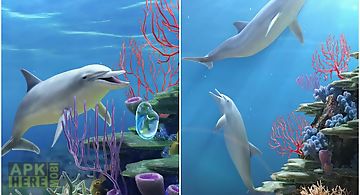 Dolphin coralreef trial