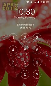 lock screen zipper