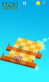 sky hoppers
