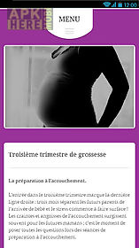 semaines de grossesse